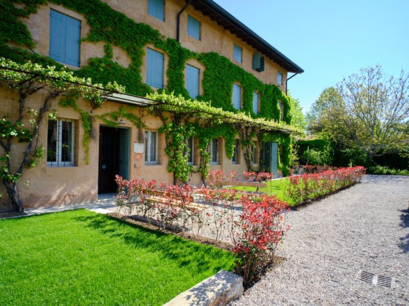 _XT38611 (Medie) _XT38611 (Medie)