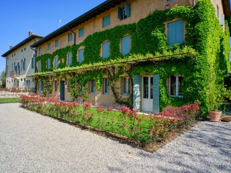 _XT38617 (Medie) Appartamento con giardino