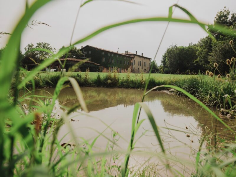 corte-guastalla-breakfast_11 corte-guastalla-breakfast_11