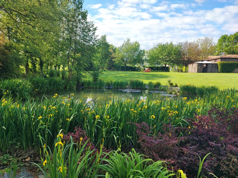 Parco e laghetto del Relais Corte Guastalla Apartments Laghetto con fiori e parco del Relais Corte Guastalla Apartments nella campagna tra Verona e il Lago di Garda