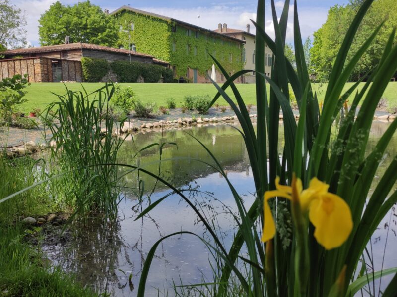 Parco con laghetto - Relais Corte Guastalla Apartments Laghetto naturale e parco del Relais Corte Guastalla Apartments con vista sulla dimora storica vicino al Lago di Garda